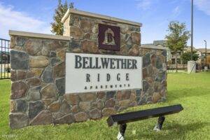 Bellwether Ridge